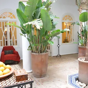 Dar Loulema Essaouira