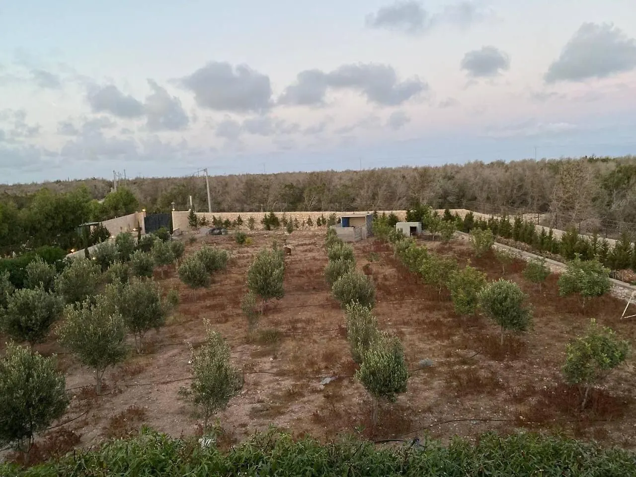 Villa Laarich Essaouira
